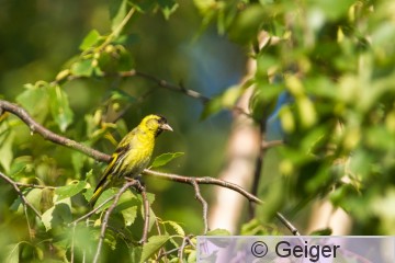 IMG_3248.jpg
