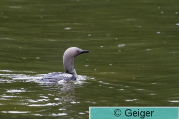 IMG_3673.jpg