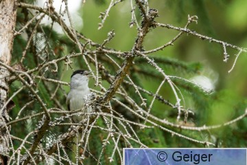 IMG_3830.jpg