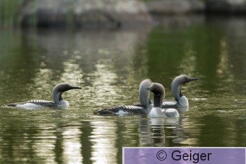 IMG_3926.jpg