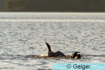 IMG_3983.jpg