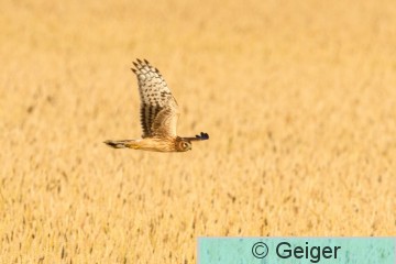 IMG_5205.jpg