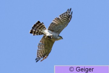 IMG_5735.jpg
