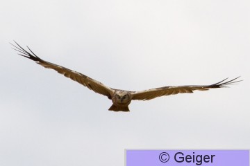 IMG_6128.jpg