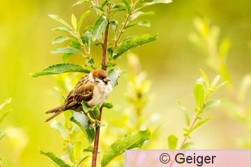 IMG_7000.jpg