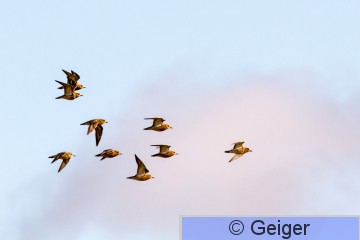 IMG_8525.jpg