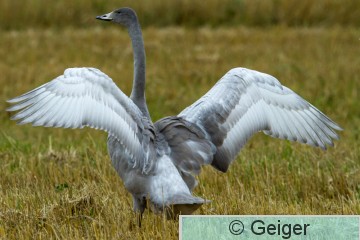 IMG_9986.jpg