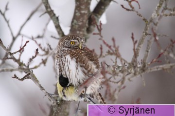 IMG_1632_2.JPG