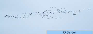 IMG_9353.jpg