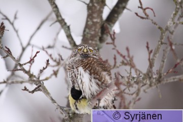 IMG_1646_2.JPG