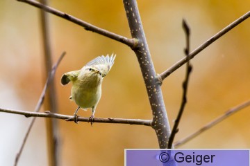 IMG_0330.jpg