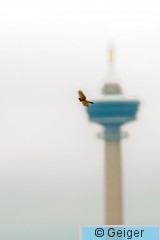 IMG_0430.jpg