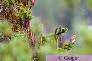 IMG_0673.jpg