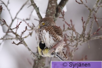 IMG_1711_2.JPG