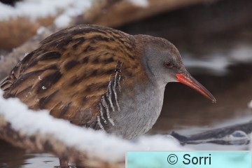 IMG_3800.jpg