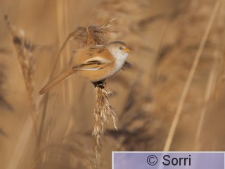 IMG_4205.jpg