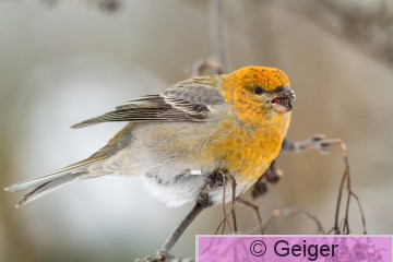 IMG_1702.jpg