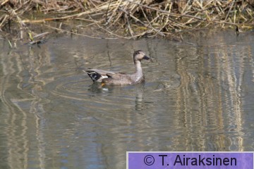IMG_0175.jpg
