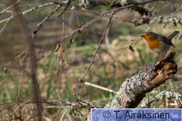 IMG_0475.jpg