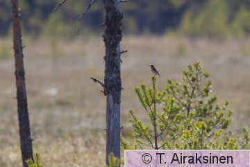 IMG_0732.jpg