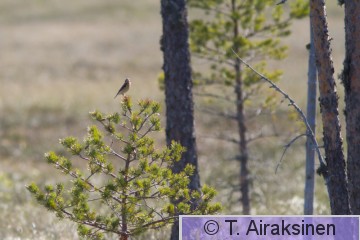 IMG_0746.jpg