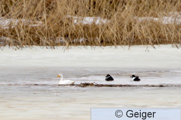 IMG_3226.jpg