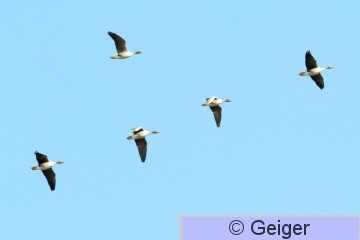 IMG_3415.jpg