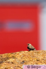 IMG_4014.jpg