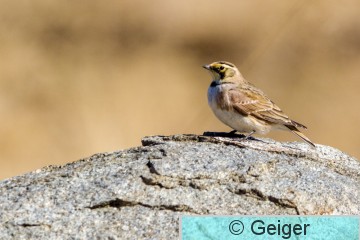 IMG_4022.jpg