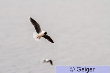 IMG_4340.jpg