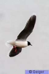 IMG_4356.jpg