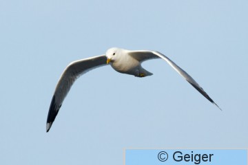 IMG_4799.jpg