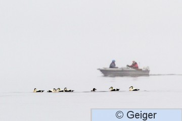 IMG_5042.jpg