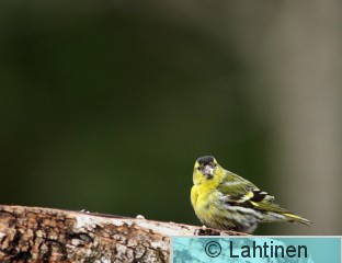 IMG_3399 k.jpg