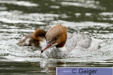IMG_5256.jpg