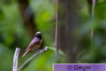 IMG_5545.jpg