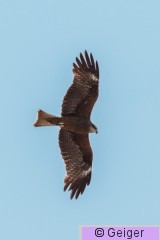 IMG_5752.jpg