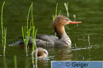 IMG_6477.jpg
