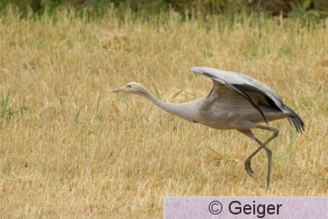 IMG_6695.jpg