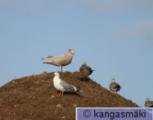 IMG_5004.jpg