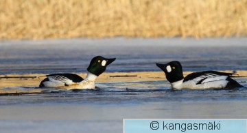 IMG_6157.jpg