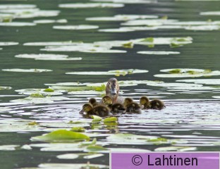 IMG_5339 k.jpg