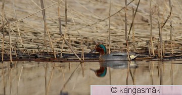 IMG_7786.jpg