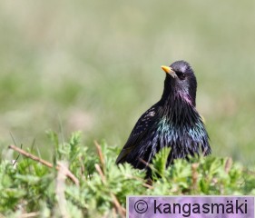 IMG_9875.jpg