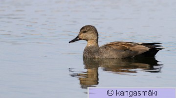 IMG_8993.jpg