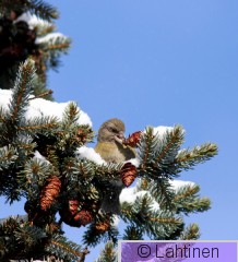 IMG_1496 k.jpg