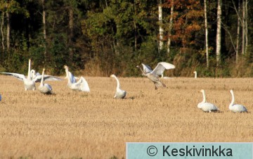 IMG_0315.JPG