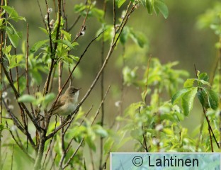 IMG_5386 k.jpg