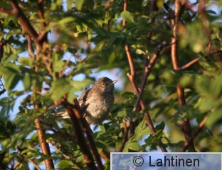 IMG_6498 k.jpg