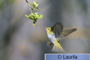 Physib_140514_HL.jpg